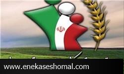 برخورداری 140 هزار مازندرانی از بیمه اجتماعی روستایی و عشایری