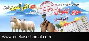 كشف ۲ تن پنير بسته بندي شده تقلبي