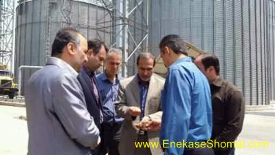 بازديد رازجويان از مراكز خريد تضميني گندم