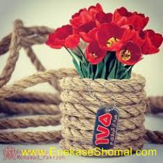 تصاویر شهدای غواص احراز هویت شده مازندرانی