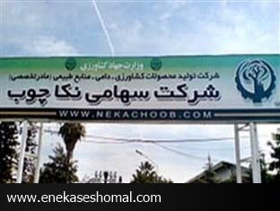 نکاچوب نظر سرمایه گذاران خارجی را به خود جلب کرده است