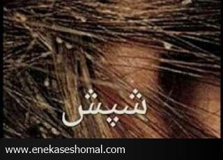 دلیل ابتلا به شپش و چگونگی درمان آن