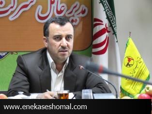 مشترکان برق مازندران نسبت به پراخت معوقه‌ها اقدام کنند