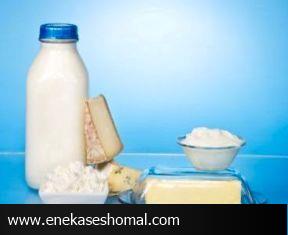لبنیات مازندران بر سفره روس ها