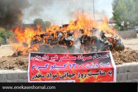 امحاء 1200 کیلوگرم موادمخدربه مناسبت روز جهانی موادمخدردر پارک ملل ساری