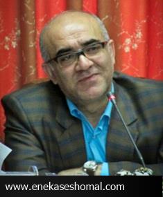 دولت‌ها شورا را مانع خود و نمایندگان مجلس شوراها را رقیب خود می‌پندارند