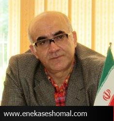 مجلس باید به دنبال تقویت جایگاه شوراها باشد