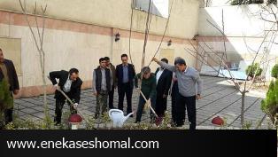 پانزده اسفند: درختکاری با طعم فلسفه !