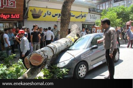 خسارات طوفان در ساری
