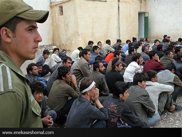 دستگیری 17 تبعه بیگانه غیرمجاز در فرح آباد ساری