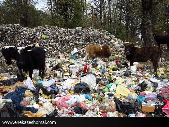 مهلت دو هفته ای دادگستری مازندران به شهرداری های استان در باره زباله