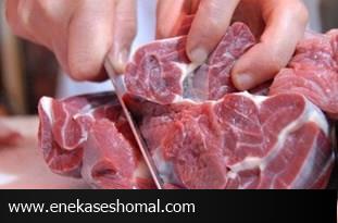 ابتلای 23 مورد بیماری تب کریمه کنگو در مازندران