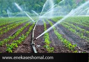 اجرای شبکه آبیاری در ۳۵ هزار هکتار زمین‌های باغی مازندران