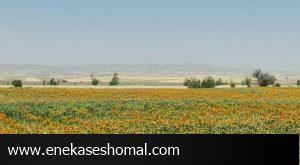 نوسانات اقلیمی منابع طبیعی کشور را تهدید می کند