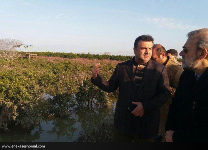رئیس مجلس شورای اسلامی از مناطق سیل زده مازندران بازدید کرد