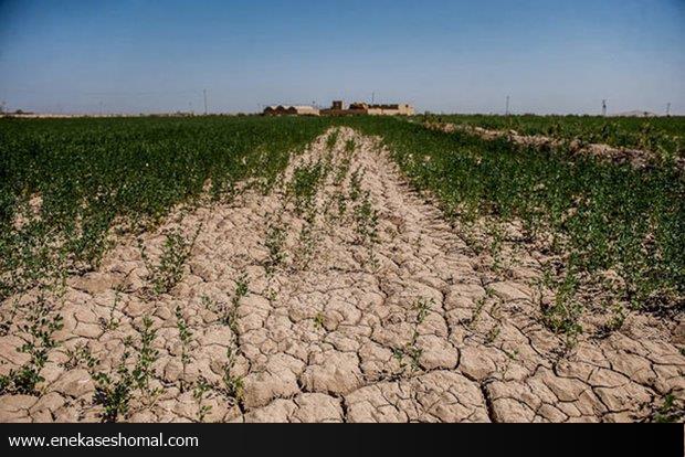 فرسایش خاک در مازندران فراتر از میانگین کشوری است