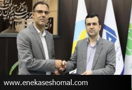 سرپرست جدید معاونت توسعه مدیریت و منابع شهرداری ساری منصوب شد