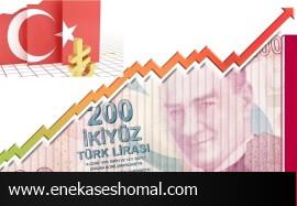 مصاحبه دردسرساز رئیس بانک مرکزی ترکیه