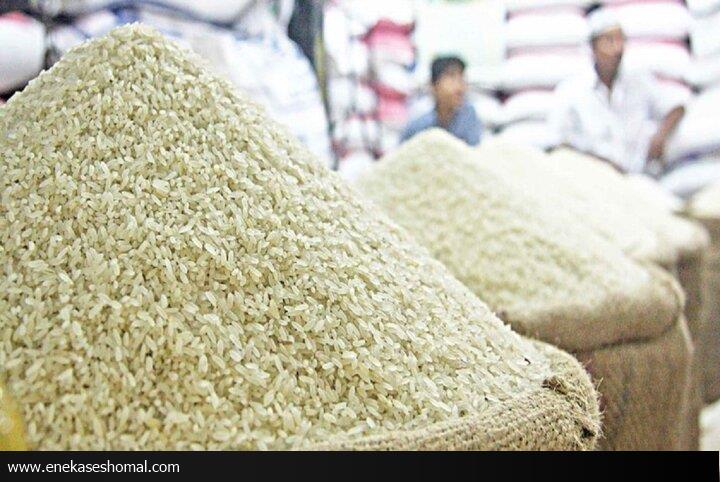 مرهمی بر رنج‌های شالیکار