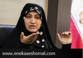 رفیعی: حق غذا، حق لباس، پول بنزین و حتی اضافه‌کاری محیط بانان پرداخت نشده