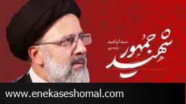 رئیس جمهور شهید ؛ خاری در چشم دشمنان