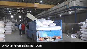 دلگرمی شالیکار، دلسردی شالیکوبی دار