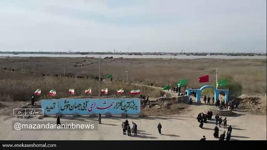 راز‌های پنهان شده در زیر نخل‌ها