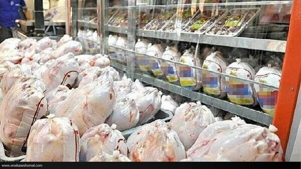 مازندران، تأمین‌کننده اصلی مرغ کشور؛ توزیع به استان‌های مختلف ادامه دارد